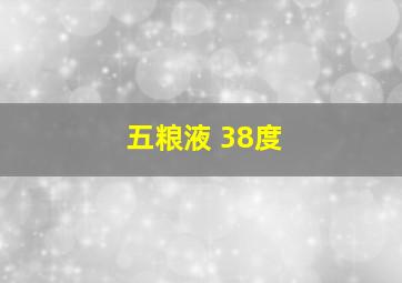 五粮液 38度